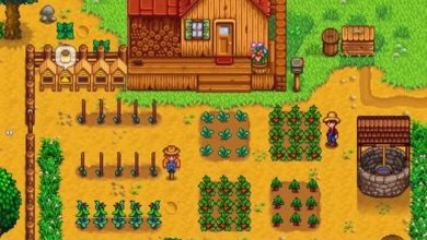 How to Back Up Your Stardew Valley Game Saves