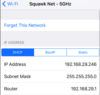 Find IP Address, MAC Address, and Other Network Connection Details on iPhone and iPad