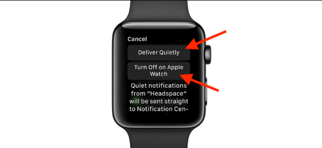 How to Turn Off App Notifications on Apple Watch