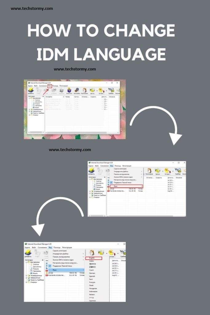 How to change IDM language 2021